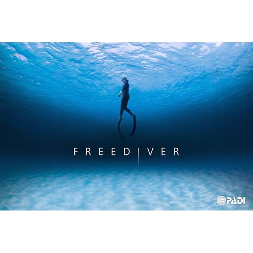 Freediver course